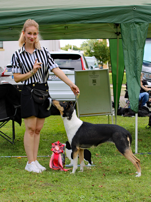 CK-Hündin Wonderful Whoopy vom Spreeidyll E: Jenny Marloth