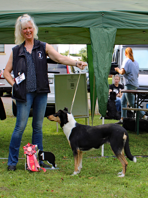 OK-Hündin Augenweide Ayka vom Spreeidyll ZuE: Simone Bundermann