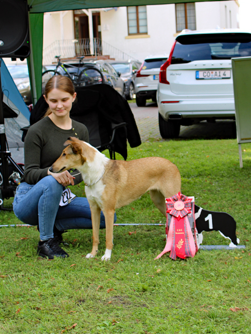 ZK-Hündin Fabulous Fiona vom Palais Brinn ZuE: Judith Engel