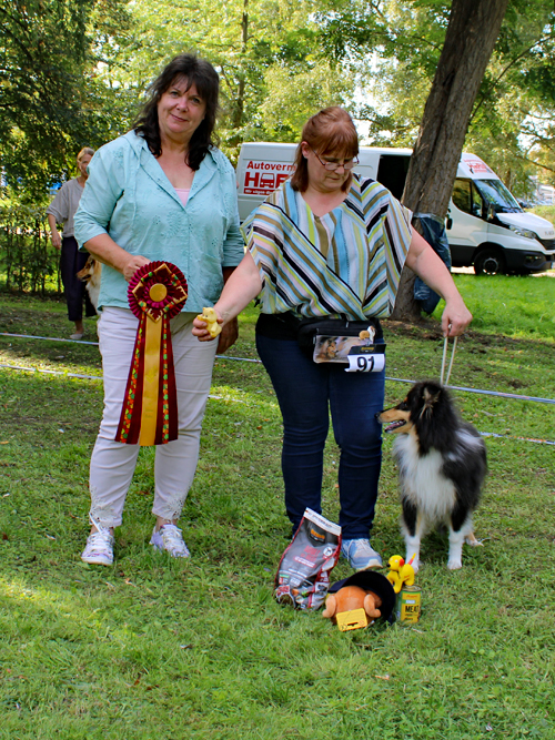 BB(Sh)-Hündin  Dark Night vom Friedrich'shain ZuE: Karsten Eilers u. Beatrice Hildebrandt