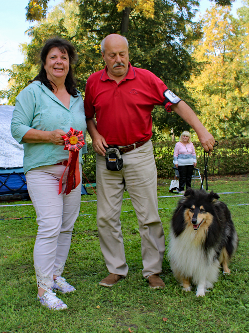 BV-Hündin Izzy aus dem Orankegarten ZuE: Ingo Dahne