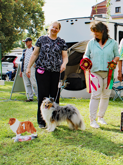 CK-Hündin Cheeky Smiling Amazing Mad Girl ZuE: Birgit Hackober