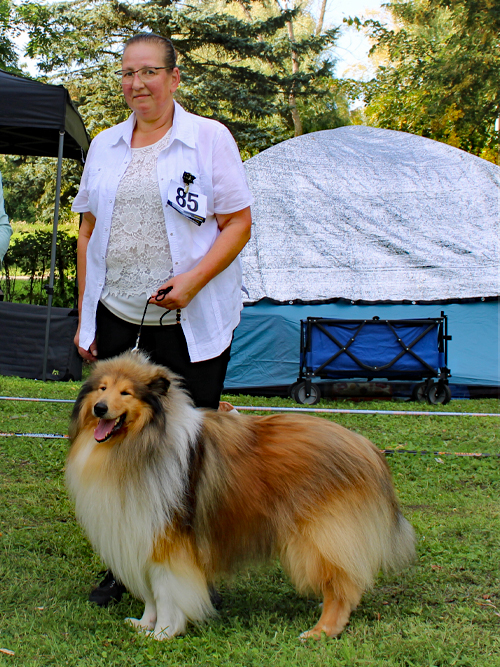 CK-Rüden Hunter of the Night ZuE: Kathleen u. Torsten Schroll