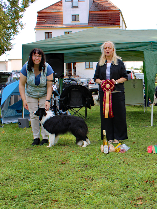 JK-Hündin Zillion of love of Rainbow Landscape ZuE: Andrea Pump