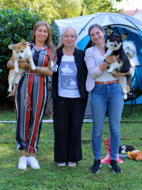 JK-Hündin Monsolana Babydoll (links) E: Claudia Bohne