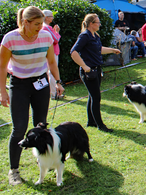 JK-Rüden Grace of Angel's Home Must-Have Edition ZuE: Mandy Johr