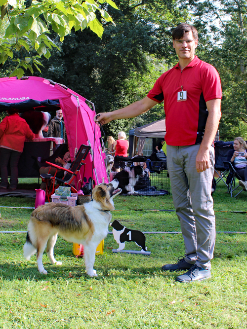 JüK-Hündin Baltic Amber of little swan flow ZuE: Axel Sarodnik