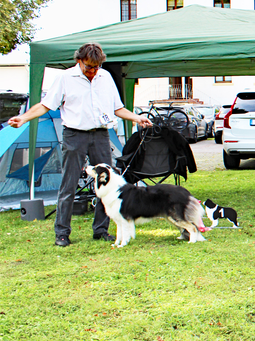 OK-Hündin Eski-Van Lucy in the Sky ZuE: Petra u. Peter Haas