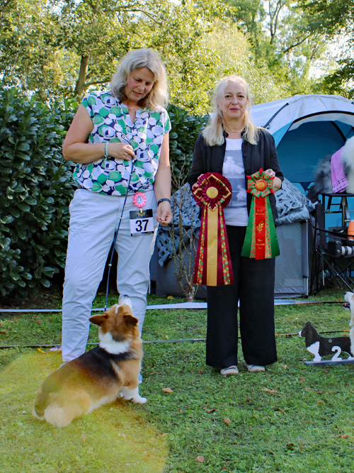 OK-Hündin Holestep's Rosamunda E: Ute Falke