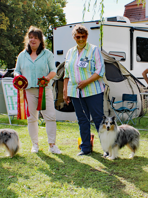 OK-Rüden Kampino von Hauschteckslust ZuE: Monika Neumann