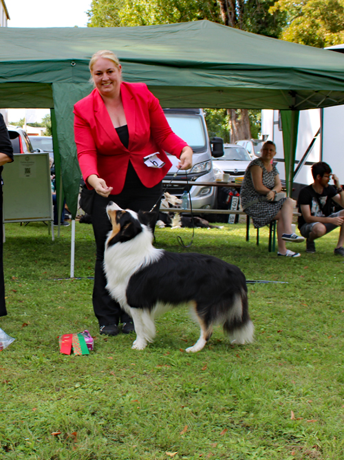 OK-Rüden Lucky for you Batida de Coco  E: Sandra Feit