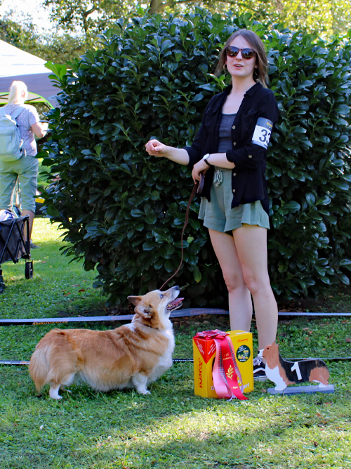 VK-Hündin Dari von Kirchhellen E: Emily Krause