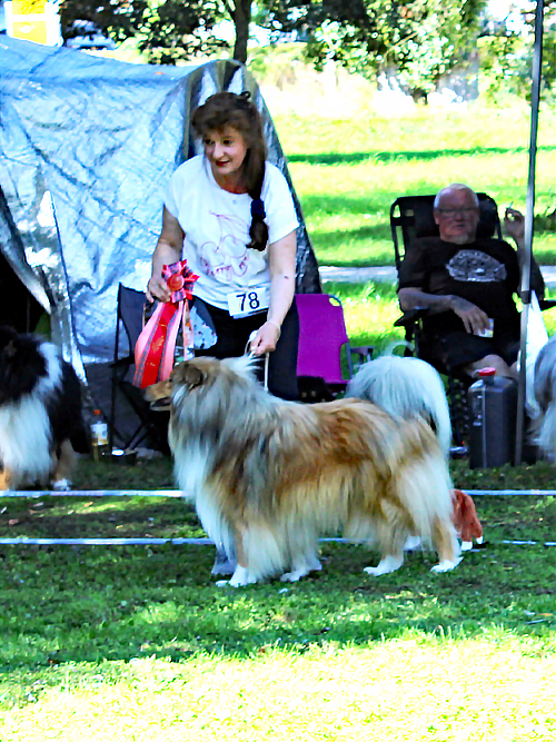 ZK-Rüden Lightening Star Lyon vom Himmelsschloss E: Friedhelm Pulz